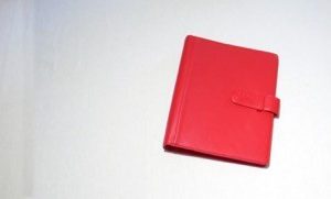 Ezy Planner Red